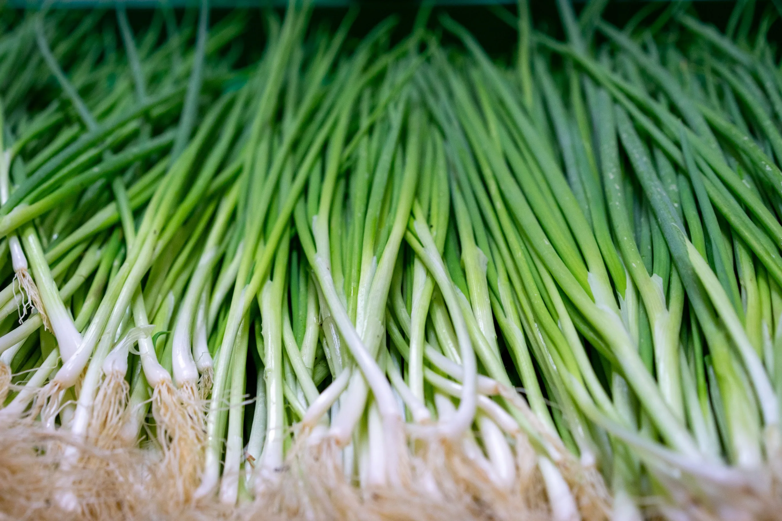 Fresh herbs and aromatics
