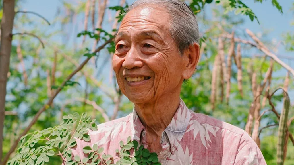 Ko Olina moringa article