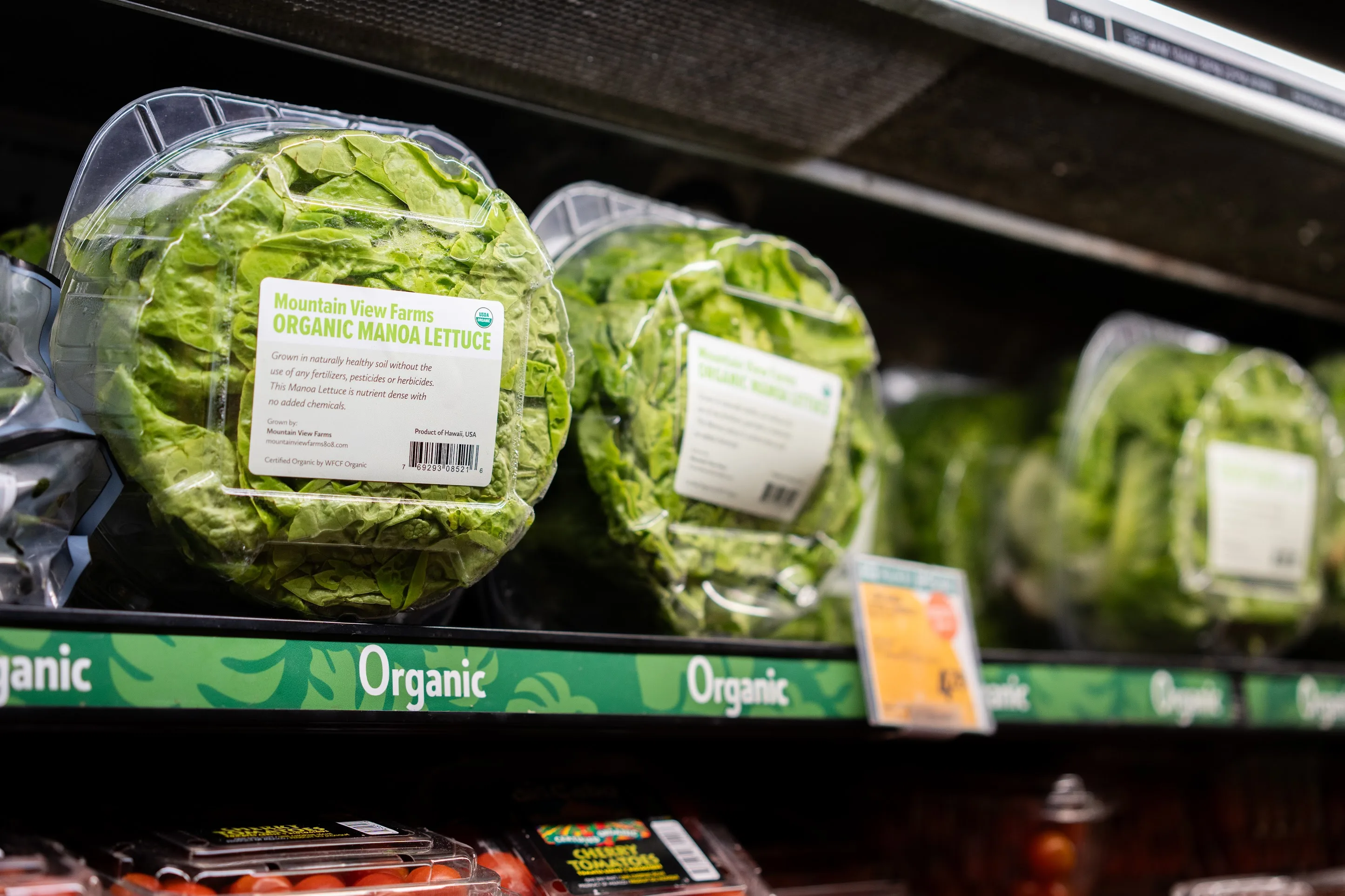 Mountain View Farms Manoa lettuce on the shelf at Foodland